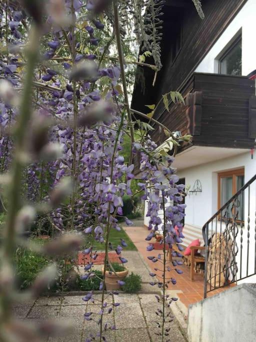 Charmantes Landhaus Mit Garten Und Traumhaftem Fernblick Thal  Buitenkant foto