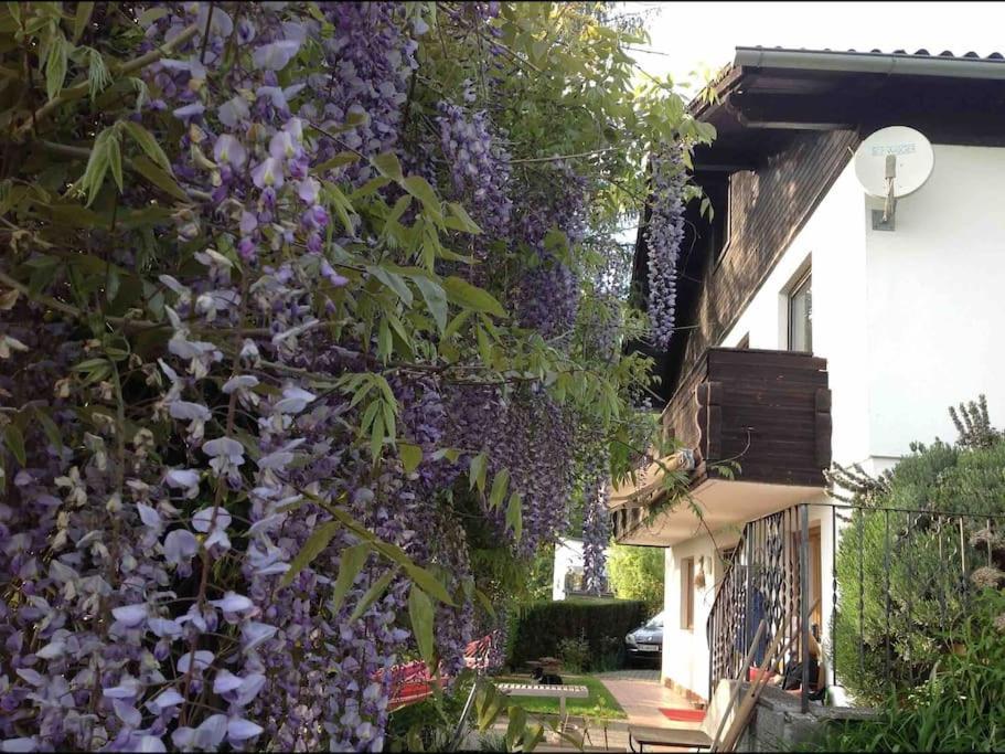 Charmantes Landhaus Mit Garten Und Traumhaftem Fernblick Thal  Buitenkant foto