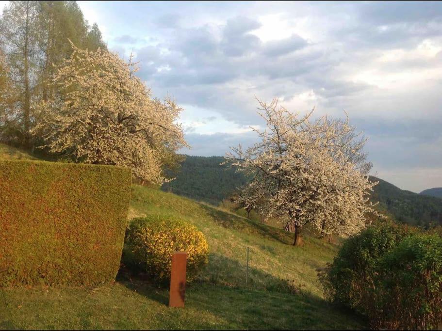 Charmantes Landhaus Mit Garten Und Traumhaftem Fernblick Thal  Buitenkant foto