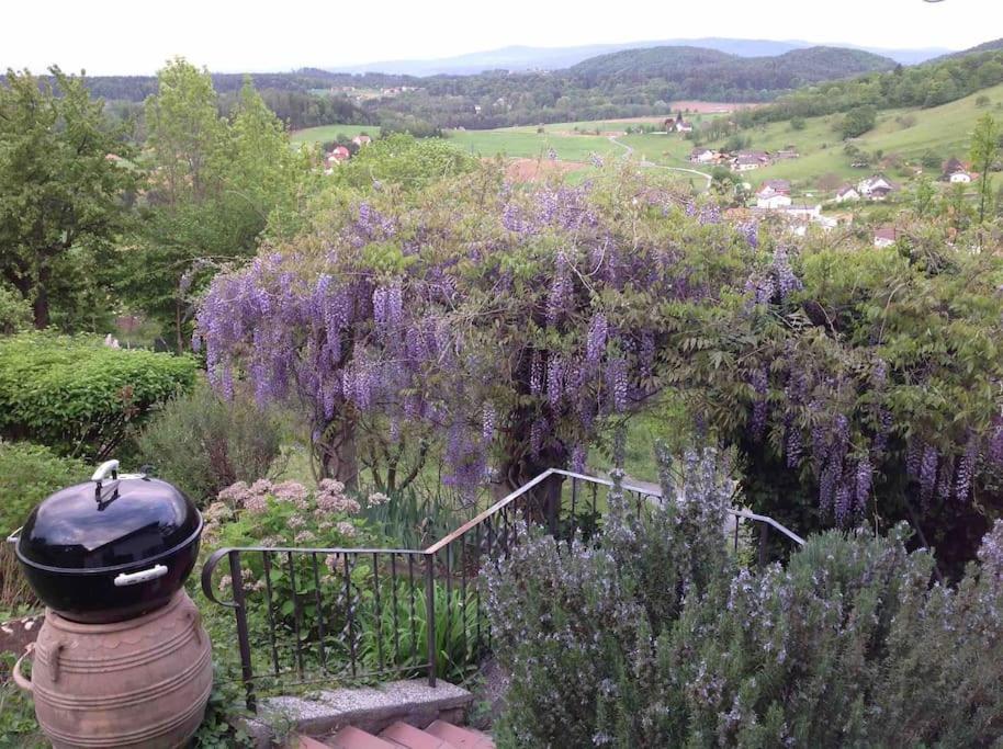 Charmantes Landhaus Mit Garten Und Traumhaftem Fernblick Thal  Buitenkant foto