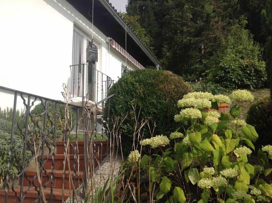 Charmantes Landhaus Mit Garten Und Traumhaftem Fernblick Thal  Buitenkant foto